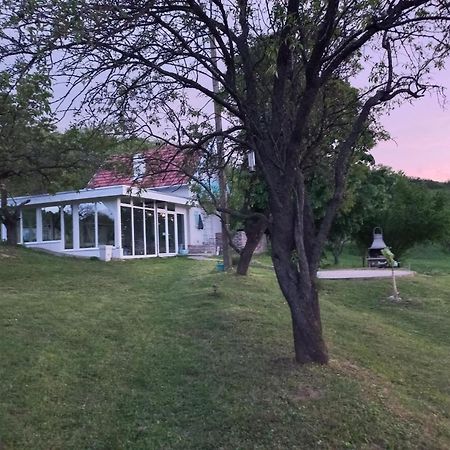 Honey Hill Apartment Fruska Gora Cerevic Bagian luar foto