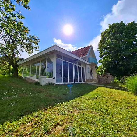 Honey Hill Apartment Fruska Gora Cerevic Bagian luar foto