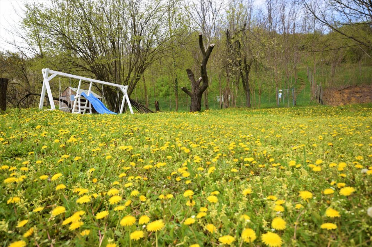 Honey Hill Apartment Fruska Gora Cerevic Bagian luar foto