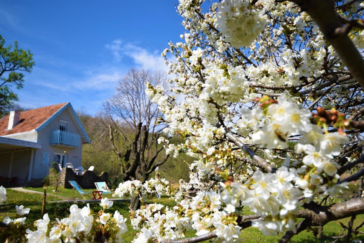 Honey Hill Apartment Fruska Gora Cerevic Bagian luar foto