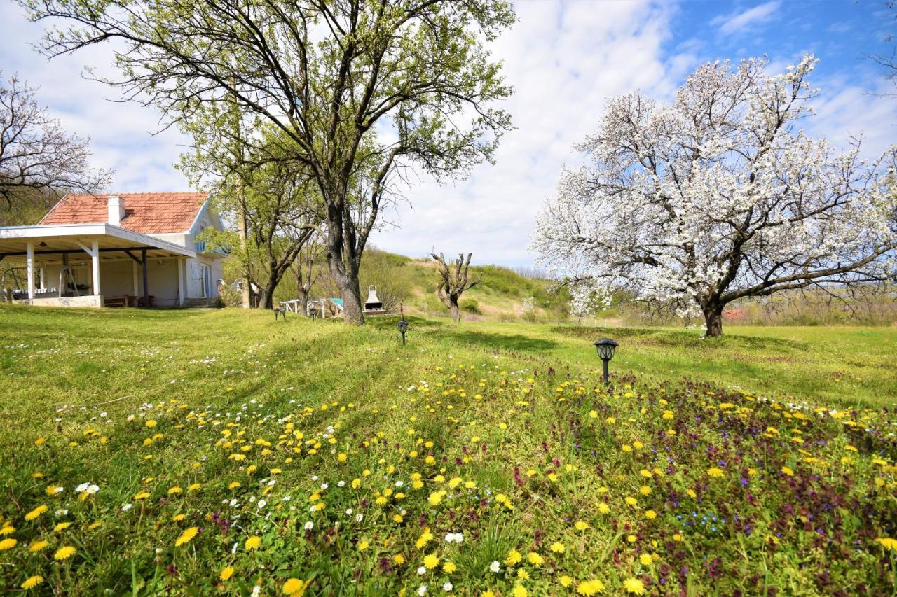Honey Hill Apartment Fruska Gora Cerevic Bagian luar foto
