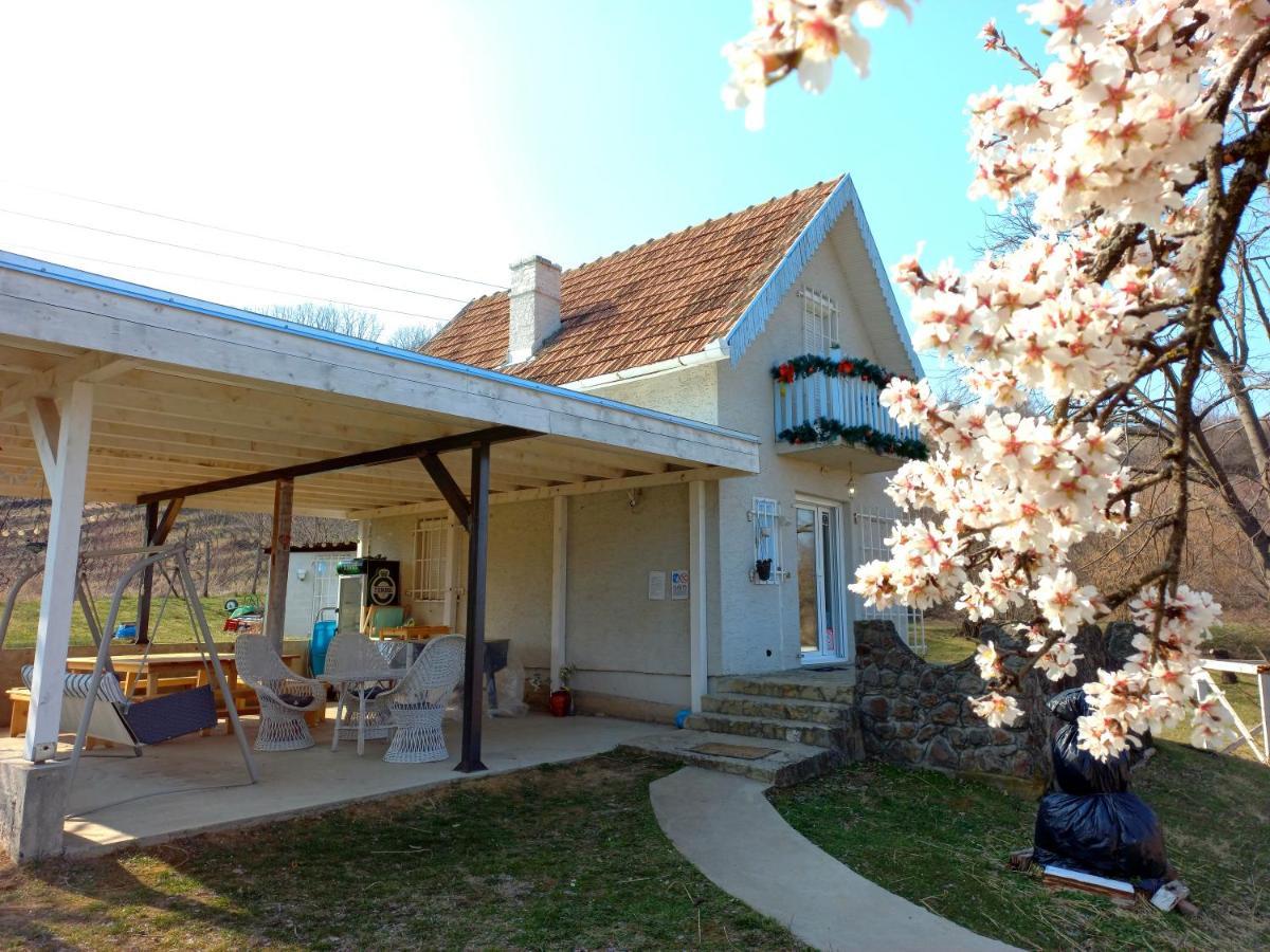 Honey Hill Apartment Fruska Gora Cerevic Bagian luar foto