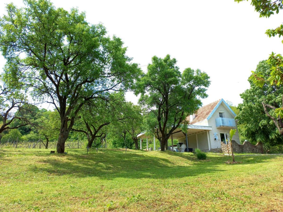 Honey Hill Apartment Fruska Gora Cerevic Bagian luar foto