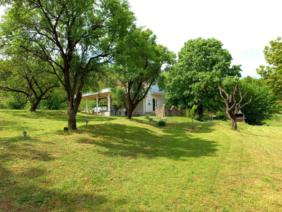 Honey Hill Apartment Fruska Gora Cerevic Bagian luar foto