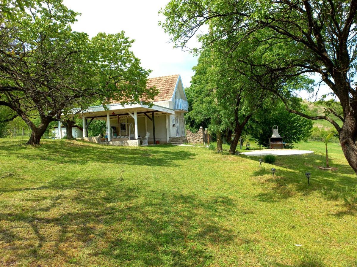Honey Hill Apartment Fruska Gora Cerevic Bagian luar foto