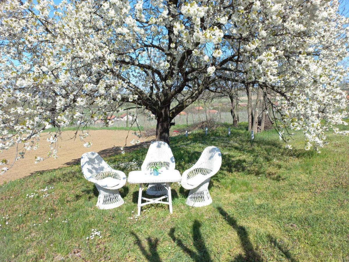 Honey Hill Apartment Fruska Gora Cerevic Bagian luar foto