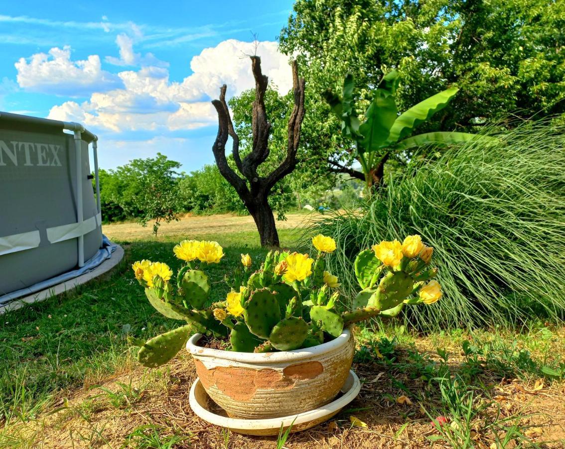 Honey Hill Apartment Fruska Gora Cerevic Bagian luar foto