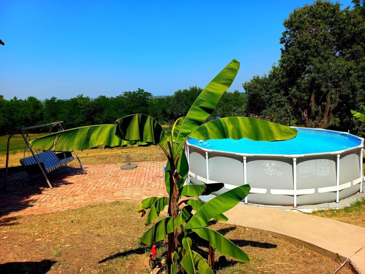 Honey Hill Apartment Fruska Gora Cerevic Bagian luar foto