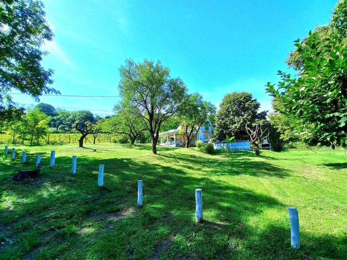 Honey Hill Apartment Fruska Gora Cerevic Bagian luar foto