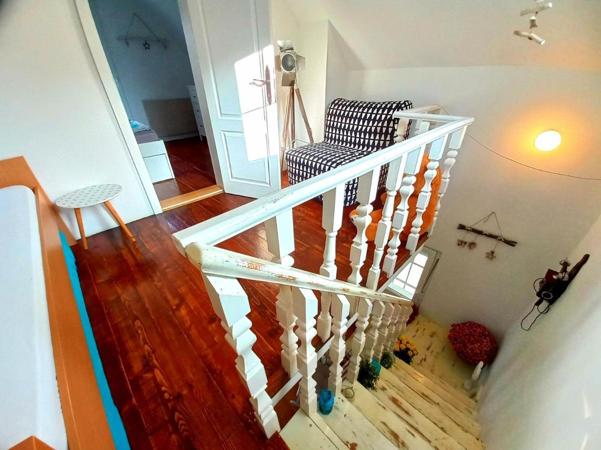 Honey Hill Apartment Fruska Gora Cerevic Bagian luar foto
