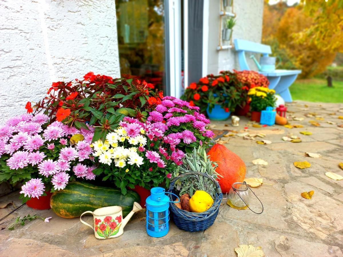 Honey Hill Apartment Fruska Gora Cerevic Bagian luar foto