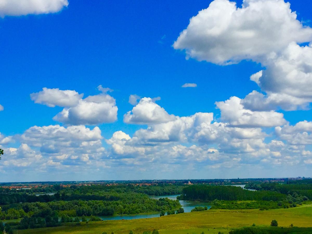 Honey Hill Apartment Fruska Gora Cerevic Bagian luar foto
