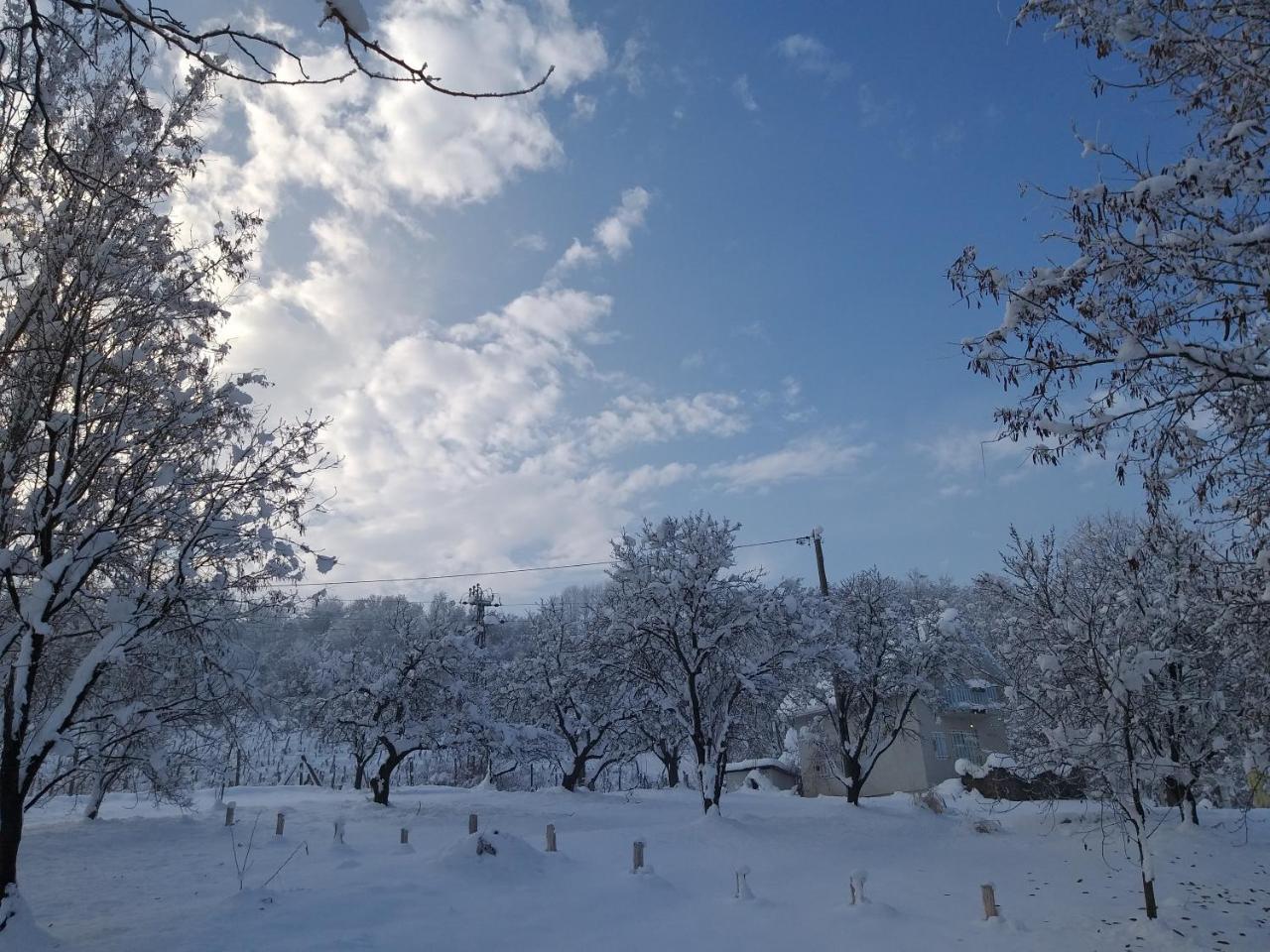 Honey Hill Apartment Fruska Gora Cerevic Bagian luar foto