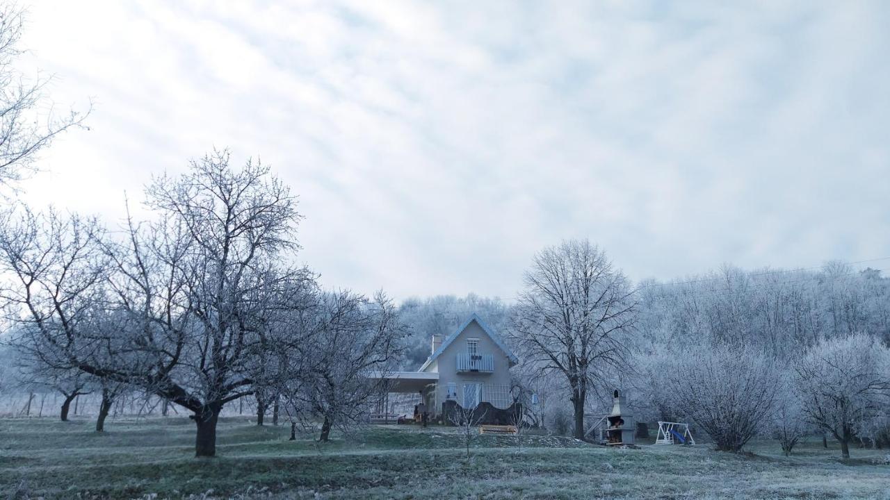 Honey Hill Apartment Fruska Gora Cerevic Bagian luar foto